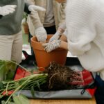 Jardinage (Pexel)